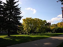 Бархат
