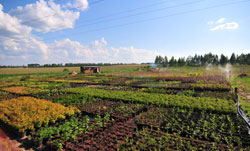 Питомник Смирновых